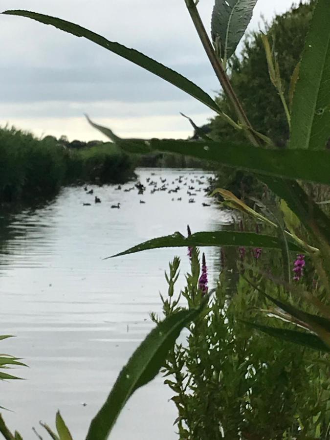 Iris'T; Dijkhuisje In De Polders Van Groede. Villa Bagian luar foto